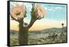 Blooming Cactus-null-Framed Stretched Canvas