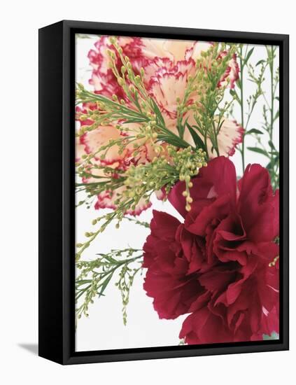 Blooming Carnations-null-Framed Stretched Canvas