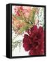 Blooming Carnations-null-Framed Stretched Canvas