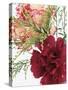 Blooming Carnations-null-Stretched Canvas