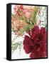 Blooming Carnations-null-Framed Stretched Canvas