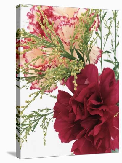 Blooming Carnations-null-Stretched Canvas