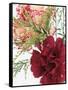 Blooming Carnations-null-Framed Stretched Canvas