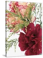 Blooming Carnations-null-Stretched Canvas