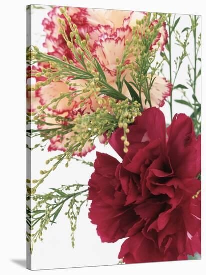 Blooming Carnations-null-Stretched Canvas