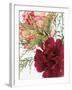 Blooming Carnations-null-Framed Premium Photographic Print