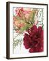 Blooming Carnations-null-Framed Premium Photographic Print