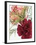 Blooming Carnations-null-Framed Premium Photographic Print