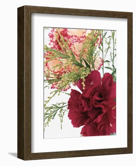 Blooming Carnations-null-Framed Photographic Print