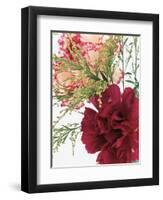 Blooming Carnations-null-Framed Photographic Print