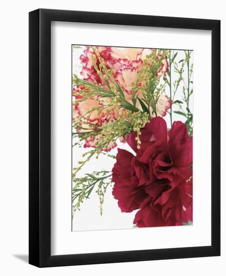 Blooming Carnations-null-Framed Photographic Print