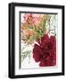 Blooming Carnations-null-Framed Photographic Print