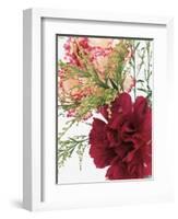 Blooming Carnations-null-Framed Photographic Print