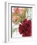 Blooming Carnations-null-Framed Photographic Print
