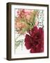 Blooming Carnations-null-Framed Photographic Print