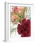 Blooming Carnations-null-Framed Photographic Print