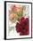 Blooming Carnations-null-Framed Photographic Print