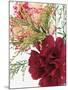 Blooming Carnations-null-Mounted Photographic Print