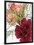 Blooming Carnations-null-Framed Photographic Print