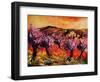 Blooming Cherry Trees In Provence-Pol Ledent-Framed Art Print