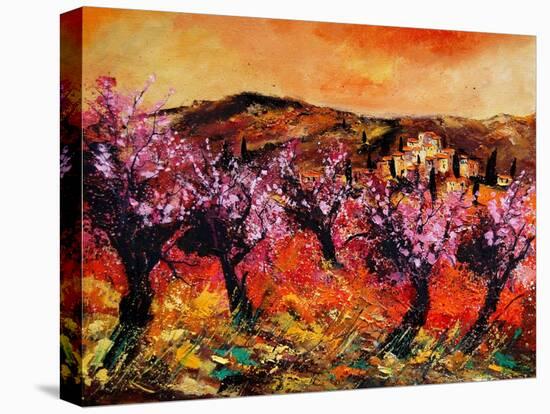 Blooming Cherry Trees In Provence-Pol Ledent-Stretched Canvas