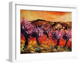 Blooming Cherry Trees In Provence-Pol Ledent-Framed Art Print