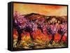 Blooming Cherry Trees In Provence-Pol Ledent-Framed Stretched Canvas