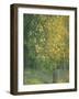 Blooming Chestnut Tree-Alexander Yakovlevich Golovin-Framed Giclee Print