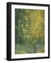 Blooming Chestnut Tree-Alexander Yakovlevich Golovin-Framed Giclee Print