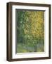 Blooming Chestnut Tree-Alexander Yakovlevich Golovin-Framed Giclee Print