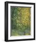 Blooming Chestnut Tree-Alexander Yakovlevich Golovin-Framed Giclee Print