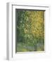 Blooming Chestnut Tree-Alexander Yakovlevich Golovin-Framed Giclee Print