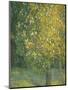 Blooming Chestnut Tree-Alexander Yakovlevich Golovin-Mounted Giclee Print