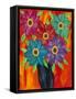 Blooming Colors-Kerri Ambrosino-Framed Stretched Canvas