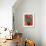 Blooming Colors-Kerri Ambrosino-Framed Giclee Print displayed on a wall