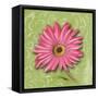 Blooming Daisy I-Patricia Pinto-Framed Stretched Canvas