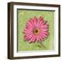 Blooming Daisy I-Patricia Pinto-Framed Art Print