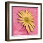 Blooming Daisy II-Patricia Pinto-Framed Art Print