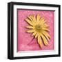 Blooming Daisy II-Patricia Pinto-Framed Art Print