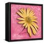 Blooming Daisy II-Patricia Pinto-Framed Stretched Canvas