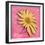 Blooming Daisy II-Patricia Pinto-Framed Art Print