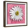 Blooming Daisy III-Patricia Pinto-Framed Art Print