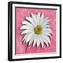 Blooming Daisy III-Patricia Pinto-Framed Art Print