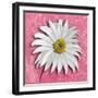 Blooming Daisy III-Patricia Pinto-Framed Premium Giclee Print