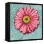 Blooming Daisy IV-Patricia Pinto-Framed Stretched Canvas