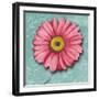 Blooming Daisy IV-Patricia Pinto-Framed Premium Giclee Print