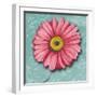 Blooming Daisy IV-Patricia Pinto-Framed Premium Giclee Print