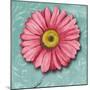 Blooming Daisy IV-Patricia Pinto-Mounted Premium Giclee Print