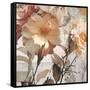 Blooming Days-Matina Theodosiou-Framed Stretched Canvas