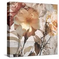 Blooming Days-Matina Theodosiou-Stretched Canvas